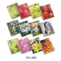 Ҿ Card Album EC-082